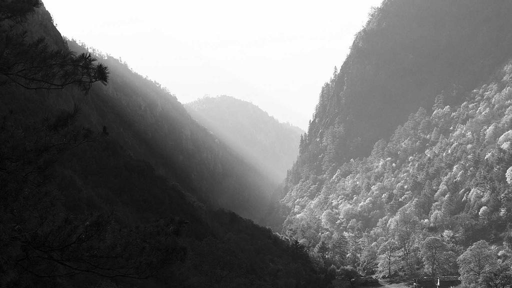 청년 고용지원금 2026 신청 자격