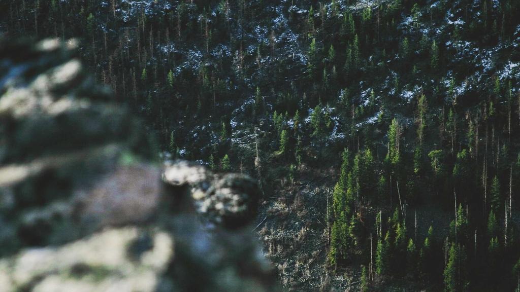 사교육비 세액공제 한도 2026