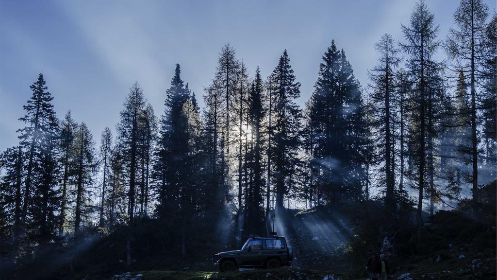 2026 청년취업지원금 대상 나이 소득기준 완벽 분석