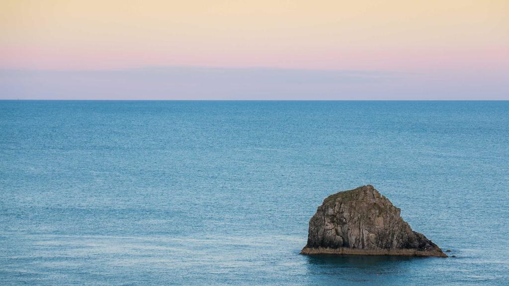 청년 취업지원금 고용촉진장려금 차이 비교