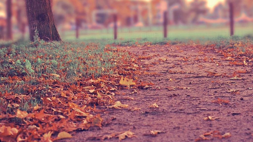 드림장학금 신청방법 자격조건