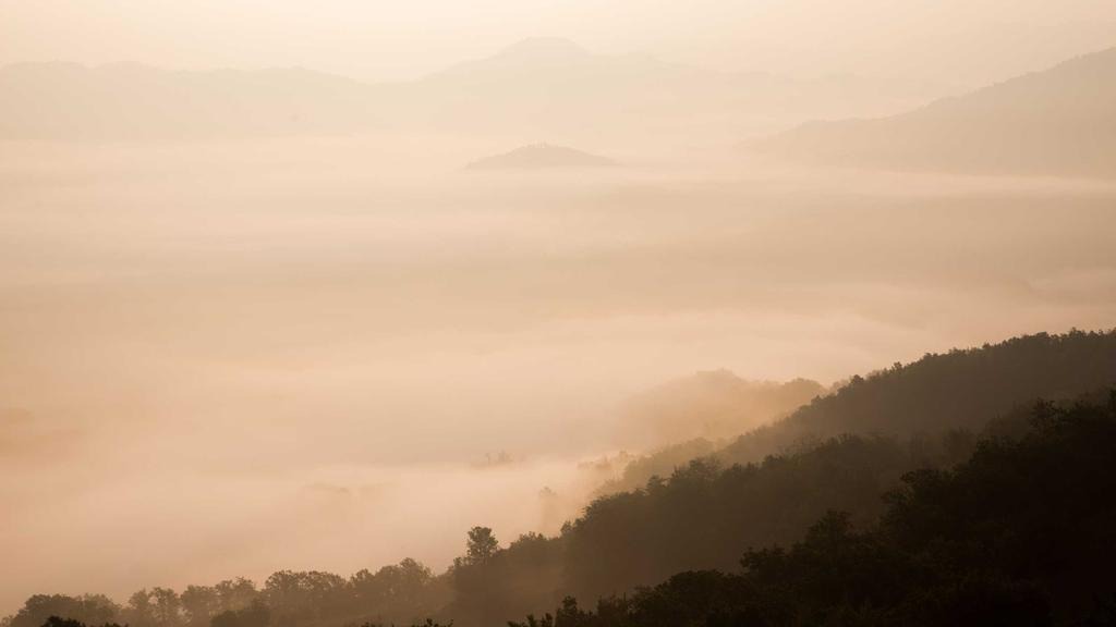 드림장학금 신청방법 자격조건
