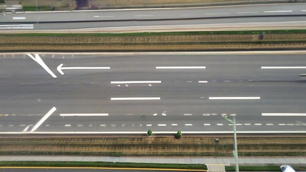 한국 가정집 거실에서 최신 스마트폰으로 반려동물을 촬영하는 30대 여성의 손