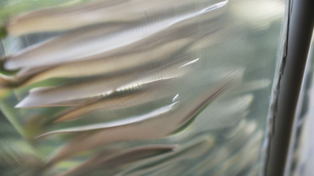 한국 가정집 주방 식탁 위에서 최신 스마트폰으로 음식을 찍고 있는 모습