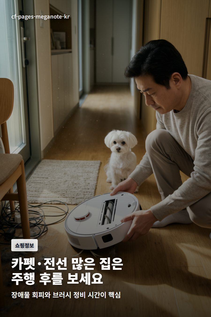현관 복도에서 로봇청소기 브러시와 장애물 주변 펫털을 확인하는 장면